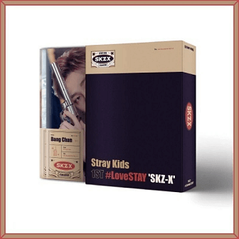 スキズ　ハイステイ　フォトブック STRAY KIDS 1ST #LOVESTAY SKZ-X PHOTO BOOK SET – KPOP USA