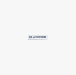 BLACKPINK OFFICIAL EARRINGS