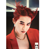 EXO OBSESSION 6TH ALBUM OFFICIAL POSTER (EXO-X SUHO)