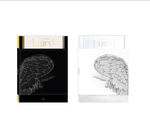 GIDLE I TRUST 3RD MINI ALBUM | 2 ALBUMS SET