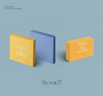 SEVENTEEN 4TH ALBUM REPACKAGE SECTOR 17 ALBUM AND KIT VER | 3 ALBUMS SET