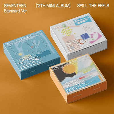 seventeen mini12 一直娯 yizhiyu yzyD 13枚セット SEVENTEEN 12TH MINI ALBUM I FELT HAPPINESS (STANDARD VER.) – KPOP USA