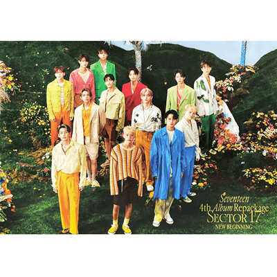 seventeen-sector-17-poster-new