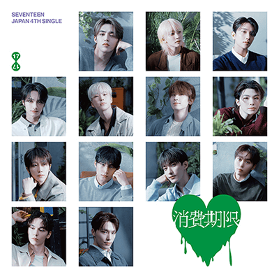svt-japan-regular-1.png?v=
