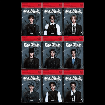 &TEAM 3RD SINGLE ALBUM GO IN BLIND [JAPAN IMPORT] (SOLO EDITION