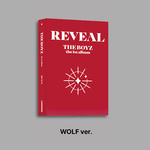 THE BOYZ 1ST ALBUM REVEAL PLATFORM VER