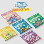 RED VELVET THE REVE FESTIVAL 2022 BIRTHDAY DIGIPACK VERSION | 5 ALBUMS SET