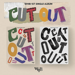 WHIB 1ST SINGLE ALBUM CUT-OUT - 2 ALBUMS SET