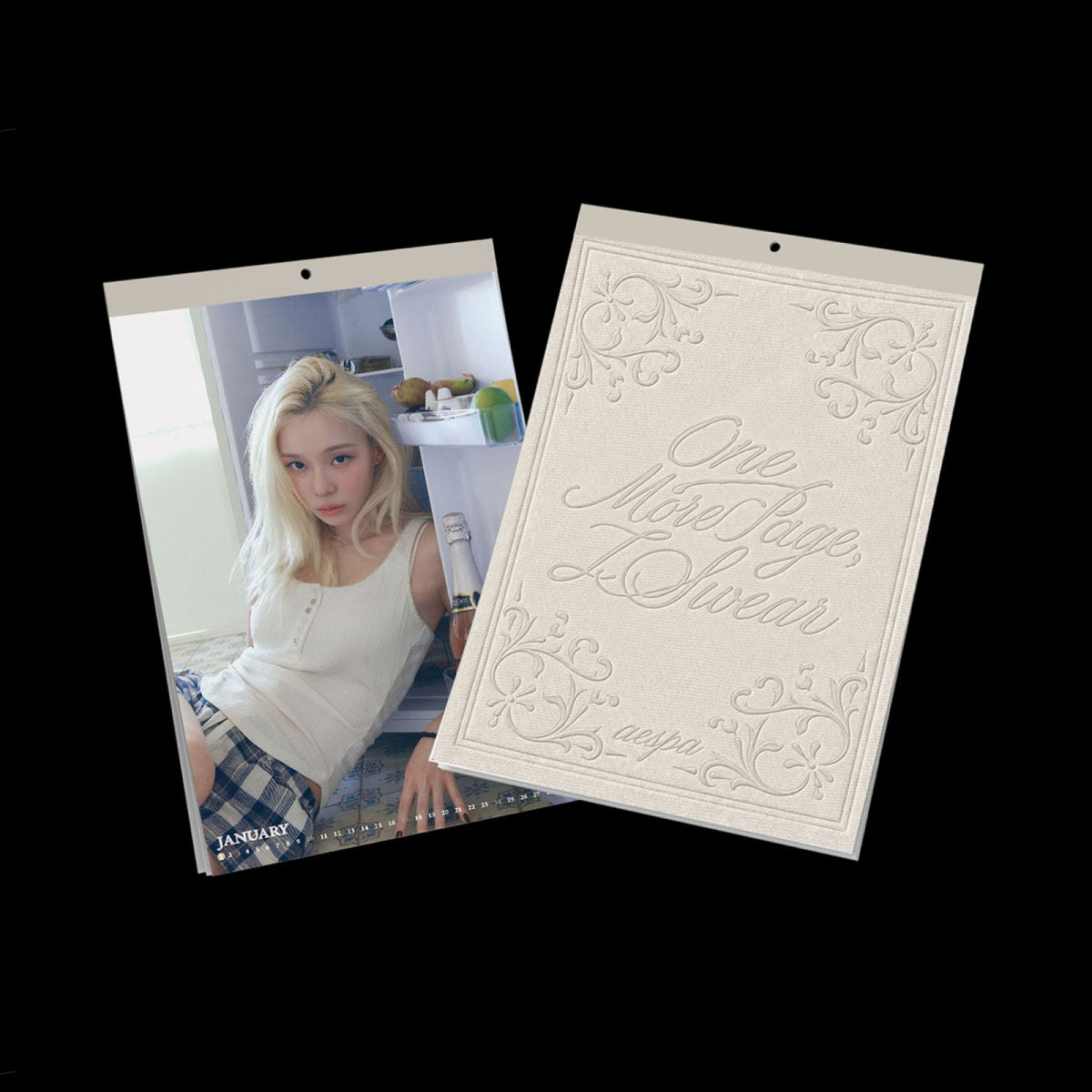 AESPA 2027  WALL CALENDAR         [PRE]