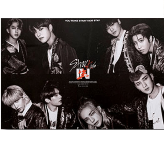 STRAY KIDS IN生 IN LIFE 1ST REPACKAGED ALBUM OFFICIAL POSTER (VER C)