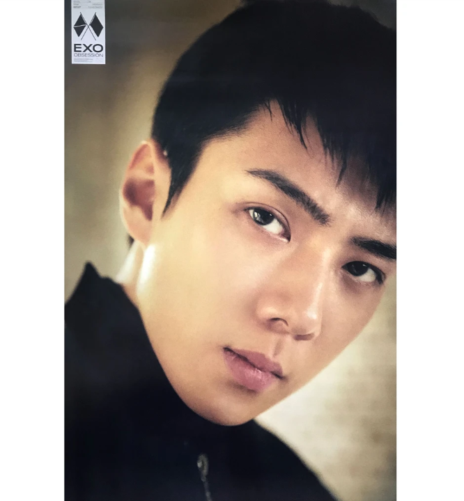 EXO OBSESSION 6TH ALBUM OFFICIAL POSTER (EXO SEHUN)