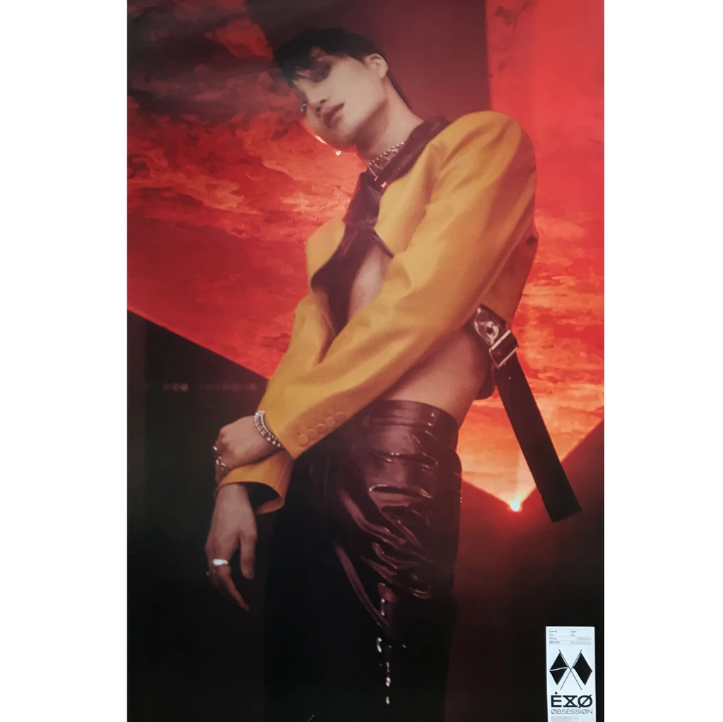 EXO OBSESSION 6TH ALBUM OFFICIAL POSTER (EXO-X KAI)
