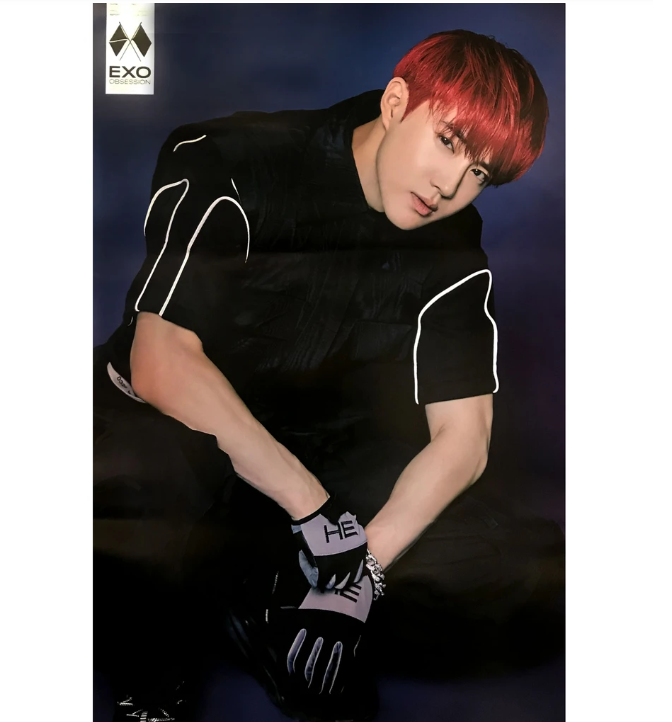 EXO OBSESSION 6TH ALBUM OFFICIAL POSTER OBSESSION VER (EXO SUHO)