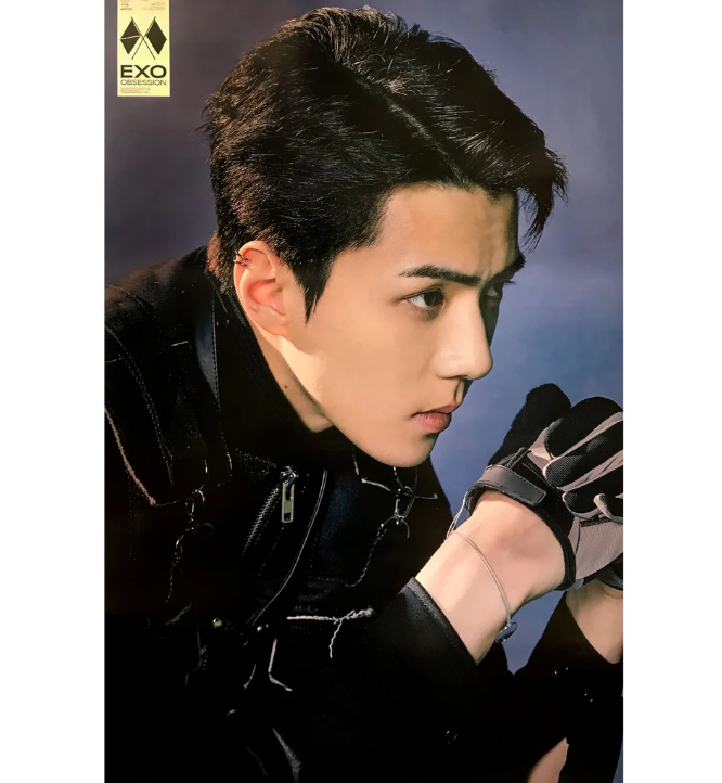 EXO OBSESSION 6TH ALBUM OFFICIAL POSTER OBSESSION VER (SEHUN)