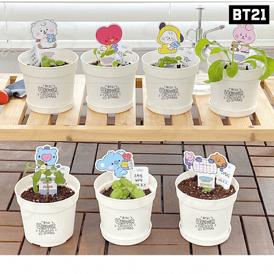 BT21 SEED STICK KIT