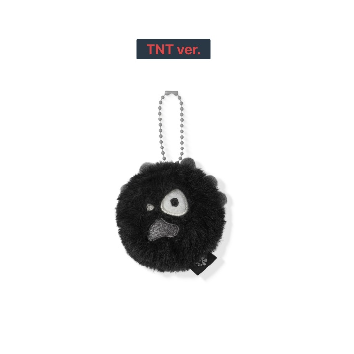 CORTIS 26' CORTIS TOUR PUT YOUR PHONE DOWN OFFICIAL MD  [MINI CORTIS BALL]       [PRE]