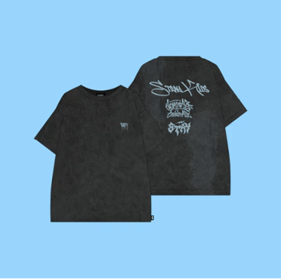 STRAY KIDS DOMINATE CELEBRATE OFFICIAL MD   [T-SHIRT]