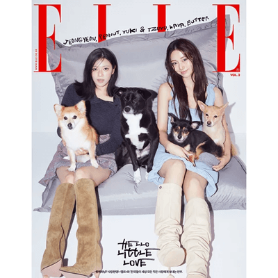 ELLE 2025-11 MAGAZINE  [TWICE | KISS OF LIFE | SEVENTEEN | TXT]