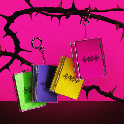 TXT 7TH YEAR : A MOMENT OF STILLNESS IN THE THORNS   (PHOTOCARD CASE VER.)   |  4 ALBUMS SET