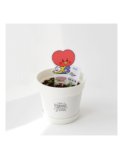 BT21 SEED STICK KIT