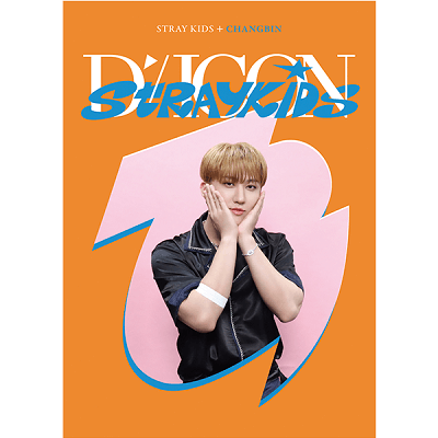 STRAY KIDS DICON D'FESTA MINI EDITION
