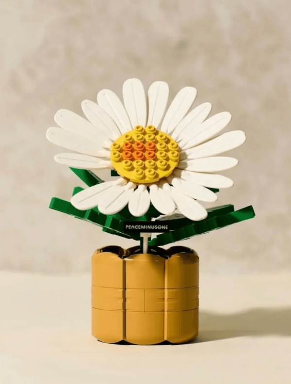 G-DRAGON 818 BLOOM [PEACEMINUSONE x OXFORD] LIMITED EDITION