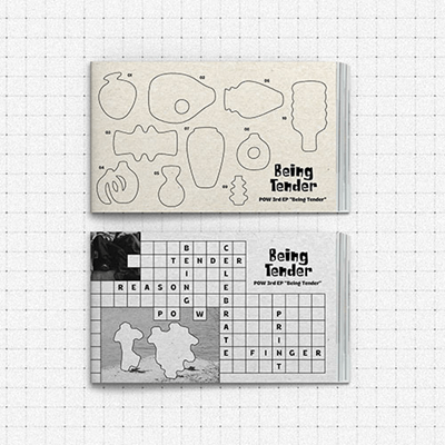 POW 3RD MINI ALBUM BEING TENDER   (PHOTOBOOK VER.)