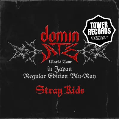 STRAY KIDS WORLD TOUR dominATE in JAPAN BLU-RAY (REGULAR EDITION STRAY KIDS WORLD TOUR dominATE in JAPAN BLU-RAY (REGULAR EDITION